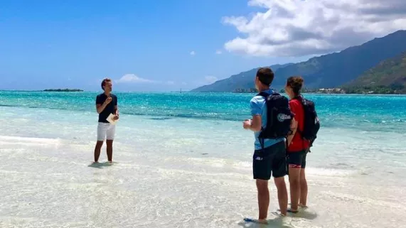 LA CARTE AUX TRESORS