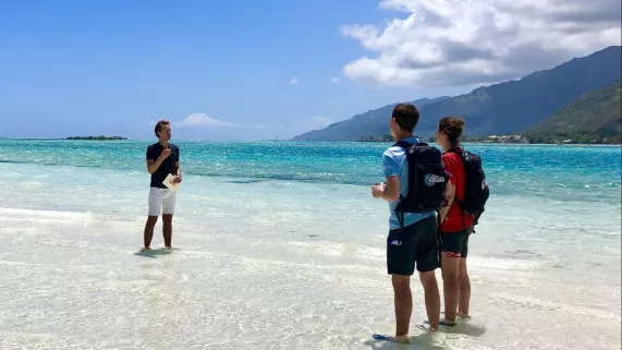 LA CARTE AUX TRESORS