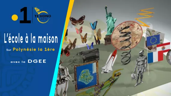 Continuité pédagogique - DGEE