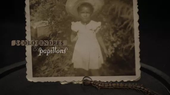 ARCHIPELS : SCOLOPENDRES & PAPILLONS