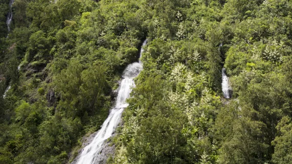 ILLUSTRATION - Réunion
