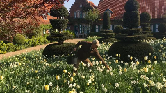 LE BEL ESPRIT JARDINIER LE BEL ESPRIT JARDINIER
