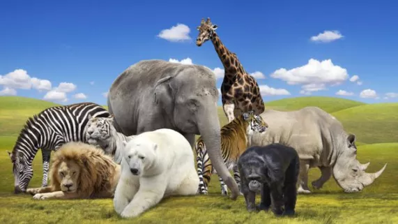 UN JOUR DANS LA NATURE