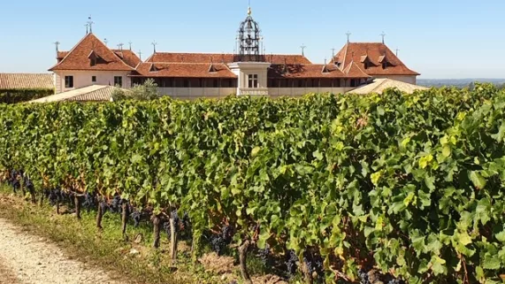 Bis à Saint-Emilion - Château Angélus  Bis à Saint-Emilion - Château Angélus