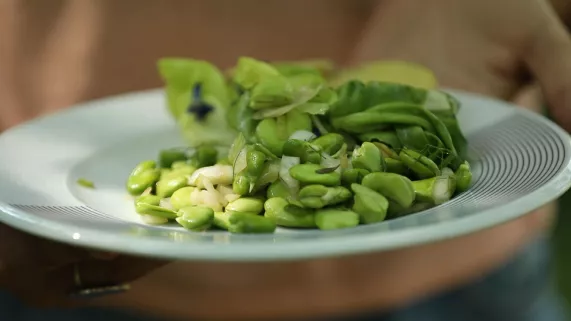 Une salade de fèves solidaire à Saint-Julien-l'Ars  Une salade de fèves solidaire à Saint-Julien-l'Ars