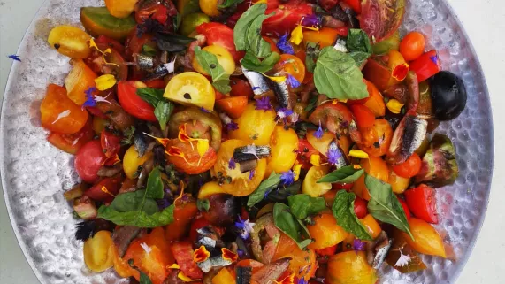 Arc-en-ciel de tomates au Taillan-Médoc  Arc-en-ciel de tomates au Taillan-Médoc