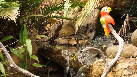 ©latitude 21 les petits cailloux- les chemins du bien-être