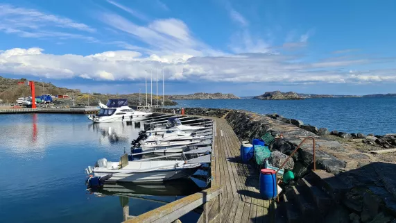 Echappées Belles : « Suède, la force de la nature »,  Ce numéro d’Échappées belles en Suède sera l’occasion pour Sophie Jovillard de partir à la rencontre d’hommes et de femmes qui ont su trouver leur équilibre entre cette nature omniprésente et les difficultés écologiques qui incombent à sa préservation.