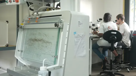 Innover, produire localement et préserver notre île : quels sont les nouveaux visages de l’économie réunionnaise ? 🚀🇷🇪 Ce jeudi à 19h45 sur Réunion la 1ère, Les Nouveaux Défis vous plongent au cœur des initiatives qui transforment notre territoire 💡. De l’industrie ménagère locale aux technologies anti-moustiques 🦟, découvrez celles et ceux qui façonnent La Réunion de demain ! 🌿💪