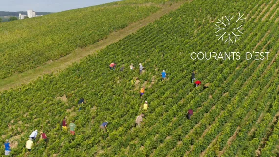 Courants d'Est - A la croisée des Champagnes auboises - SOURCE FTV 
