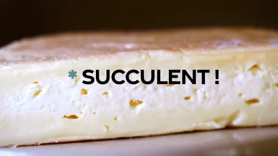 Succulent ! - Le munster - CREDIT FTV