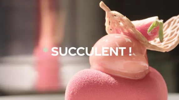 Succulent ! - La fraise - CREDIT FTV Succulent ! - La fraise - CREDIT FTV