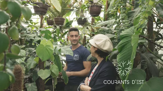 Courants d'Est - Le jardin botanique de Jean-Marie Pelt - crédit FTV