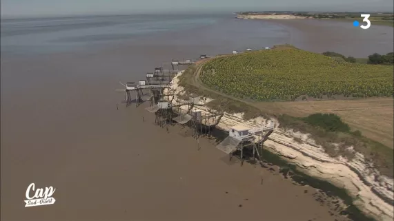 Cap Sud Ouest Charente-Maritime CSO 174