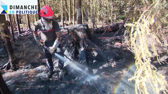 Dimanche en politique - Incendies -  CREDIT FTV Dimanche en politique - Incendies -  CREDIT FTV