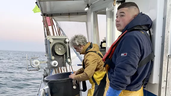 "Production Les Nouveaux jours"