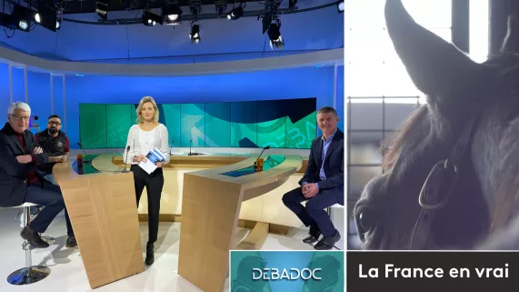 Debadoc cheval