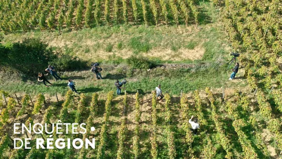 Biodiversité : quelle nature pour demain ?