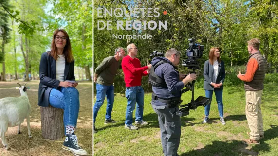 EDR animaux de compagnie