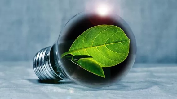 Energie verte Energie verte