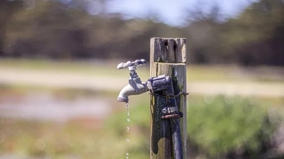 L'eau L'eau