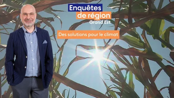 Enquêtes de région - Arnauld Salvini - Des solutions pour le climat