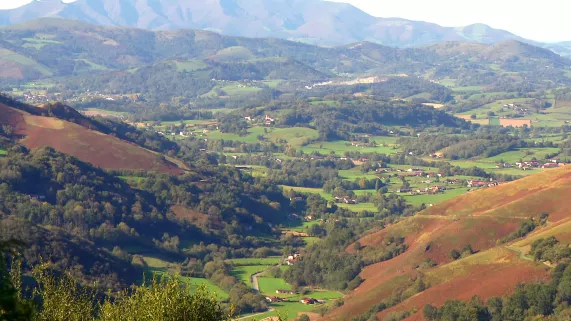 Txirrita