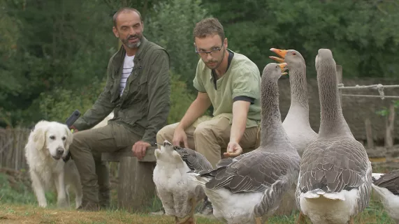 En terre animale à Guédelon En terre animale à Guédelon