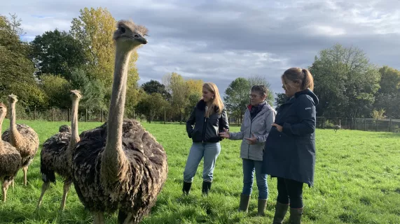 Envie dehors en Mayenne 