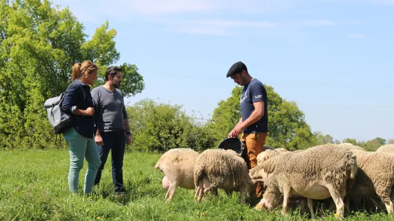 Envie dehors ! Escapade au pays de Loué ©Clémence Laroque