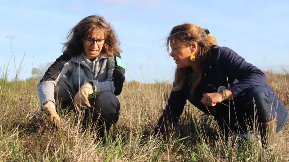 Julie Hattu dans le Layon © Clémence Laroque