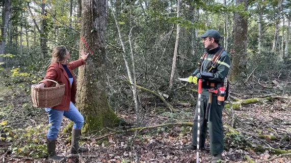 Envie dehors ! A l’orée de la forêt du Gâvre