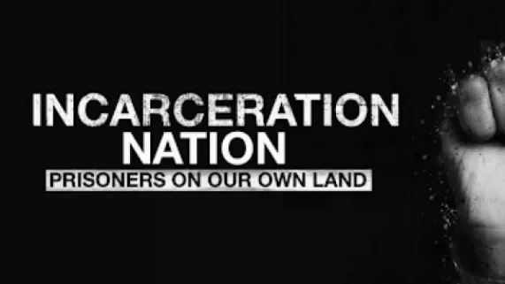 Incarceration-Nation.png