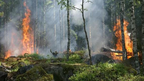 Incendie