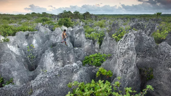 ARCHIPELS :  MAKATEA, UNE TERRE CONVOITÉE  Agriculteurs, chasseurs de crabes, cultivateurs de coprah ont pris le parti de vivre des seules ressources de cette terre unique. Une vie traditionnelle mais modeste, aujourd’hui menacée.