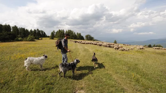 Notre part sauvage CREDIT Supermouche_Productions_JP_Valentin