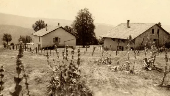 Colonie des barboux