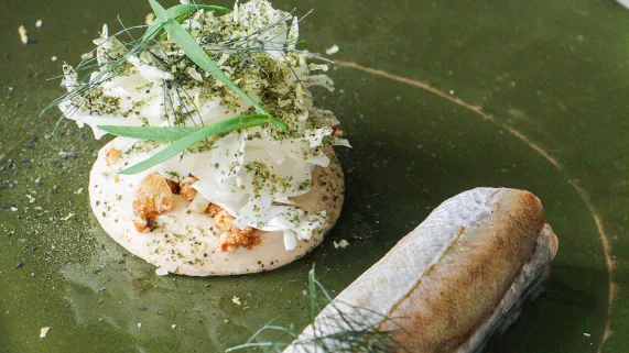 (c) LES SUBLIMEURS GASTRONOMIE HAUTS DE FRANCE