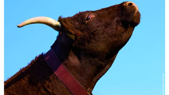 Salon de l'Agriculture 2023