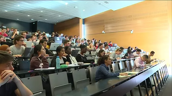 Université d'Angers Université d'Angers