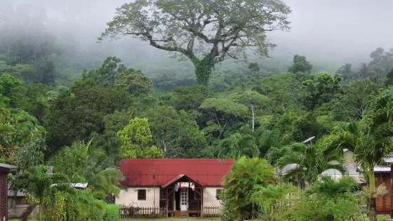 LE VILLAGE PREFERE DES FRANCAIS 2022 En 2022, France 3 lance la 10e édition du "Village Préféré des Français". Un concours permettant de mettre en avant 14 territoires français. Cette année, la commune de Saül, en Guyane, a été choisie pour représenter l'Outre-mer. Les votes sont ouverts...