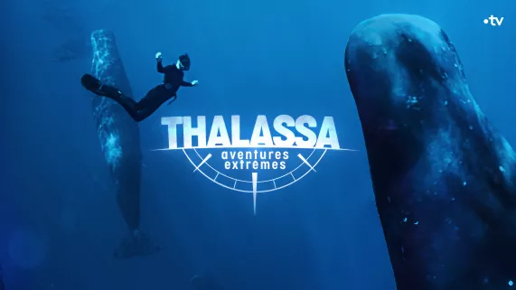 Thalassa