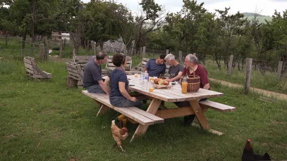 pique nique dans la nature