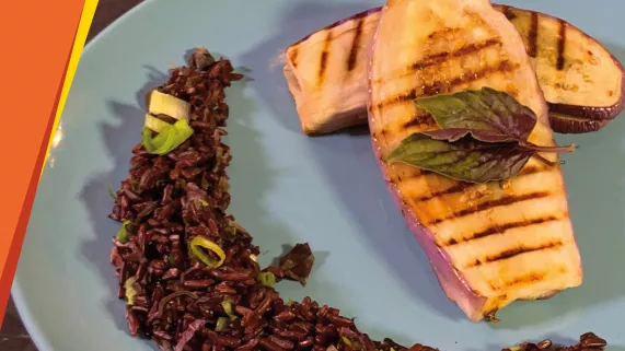 Active ta vie Active ta vie