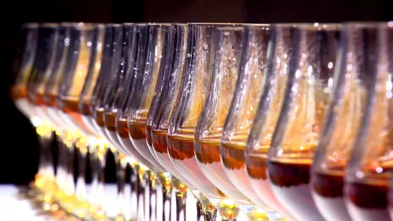 Cognnac Cognac