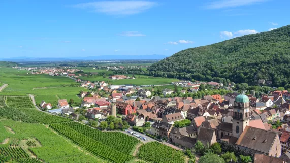70 ans de la Route des vins - terroirs et vignes - Kaysersberg et alentours