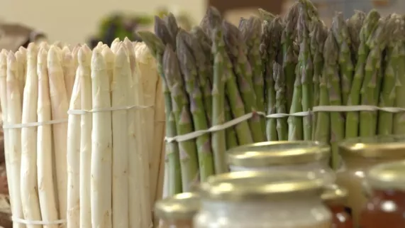 Les asperges Les asperges