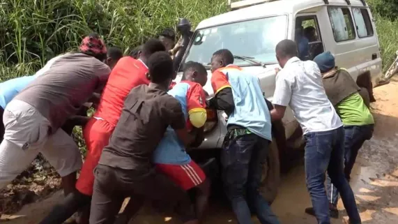 Élever ses enfants, les porter, jusqu’à ce qu’ils volent de leurs propres ailes… Une histoire universelle qui se répète partout dans le monde.