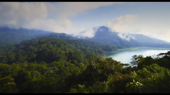 L'illusion verte L'illusion verte