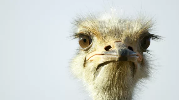 Aux yeux de tous Aux yeux de tous